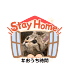 Stay Home もかにゃん❤︎（個別スタンプ：1）
