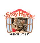 Stay Home もかにゃん❤︎（個別スタンプ：27）