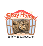 Stay Home もかにゃん❤︎（個別スタンプ：28）