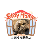 Stay Home もかにゃん❤︎（個別スタンプ：29）