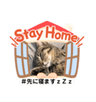Stay Home もかにゃん❤︎（個別スタンプ：30）