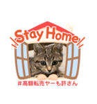 Stay Home もかにゃん❤︎（個別スタンプ：32）