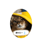 ウチの猫❣️（個別スタンプ：2）