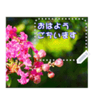 Wonderful every day message stickers(j)（個別スタンプ：1）
