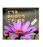 Wonderful every day message stickers(j)（個別スタンプ：3）