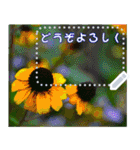 Wonderful every day message stickers(j)（個別スタンプ：4）