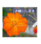 Wonderful every day message stickers(j)（個別スタンプ：6）