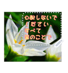 Wonderful every day message stickers(j)（個別スタンプ：7）