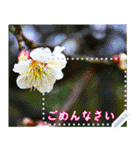 Wonderful every day message stickers(j)（個別スタンプ：10）