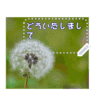 Wonderful every day message stickers(j)（個別スタンプ：11）