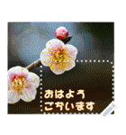 Wonderful every day message stickers(j)（個別スタンプ：13）