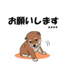 【カスタム】日常会話☆かわいい犬（個別スタンプ：1）
