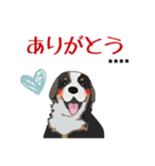 【カスタム】日常会話☆かわいい犬（個別スタンプ：3）