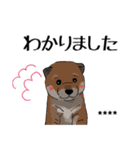 【カスタム】日常会話☆かわいい犬（個別スタンプ：5）