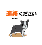 【カスタム】日常会話☆かわいい犬（個別スタンプ：12）
