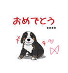 【カスタム】日常会話☆かわいい犬（個別スタンプ：16）