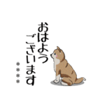 【カスタム】日常会話☆かわいい犬（個別スタンプ：17）
