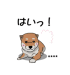 【カスタム】日常会話☆かわいい犬（個別スタンプ：22）