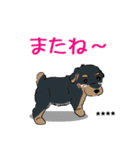 【カスタム】日常会話☆かわいい犬（個別スタンプ：23）
