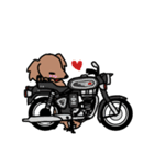 クラシックバイクに乗る犬（個別スタンプ：13）