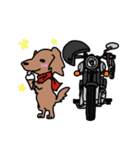 クラシックバイクに乗る犬（個別スタンプ：36）