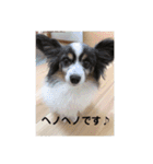 henohenostamps（個別スタンプ：1）