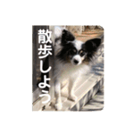henohenostamps（個別スタンプ：3）
