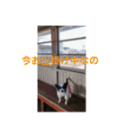henohenostamps（個別スタンプ：8）