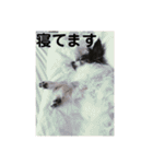 henohenostamps（個別スタンプ：11）