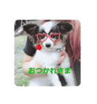 henohenostamps（個別スタンプ：12）