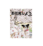 henohenostamps（個別スタンプ：13）