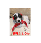henohenostamps（個別スタンプ：15）