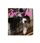 henohenostamps（個別スタンプ：18）