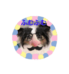 henohenostamps（個別スタンプ：19）