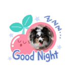 henohenostamps（個別スタンプ：20）