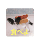 henohenostamps（個別スタンプ：23）