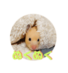 Hanako Style（個別スタンプ：4）