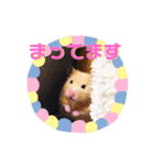 Hanako Style（個別スタンプ：5）