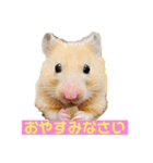 Hanako Style（個別スタンプ：7）
