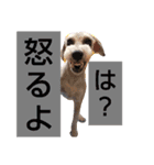 太郎の感情。（個別スタンプ：1）