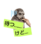太郎の感情。（個別スタンプ：3）