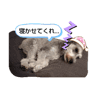 太郎の感情。（個別スタンプ：4）