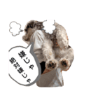 太郎の感情。（個別スタンプ：5）