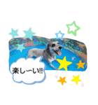 太郎の感情。（個別スタンプ：7）