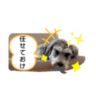 太郎の感情。（個別スタンプ：8）