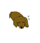 どうぶつʕ•̀ω•́ʔ✧（個別スタンプ：5）