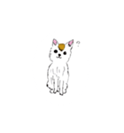 どうぶつʕ•̀ω•́ʔ✧（個別スタンプ：8）