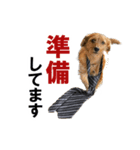 癒しジャッキー2（個別スタンプ：6）