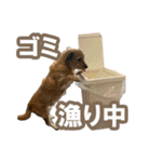癒しジャッキー2（個別スタンプ：11）