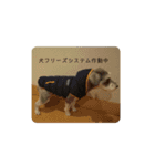 ご機嫌太郎3（個別スタンプ：4）